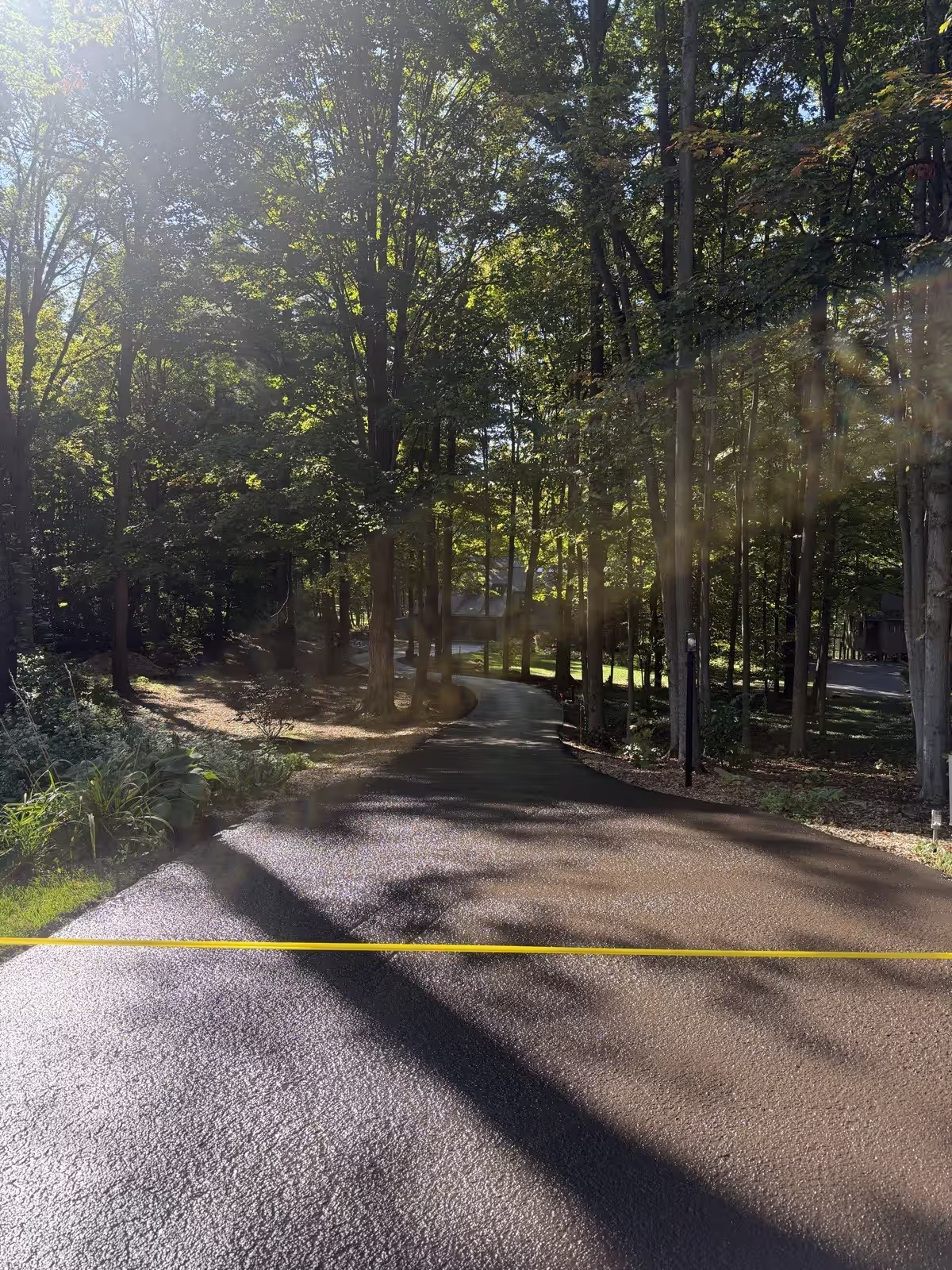 A Pro Pave driveway sealed deep and black, winding through a sun-dappled forest